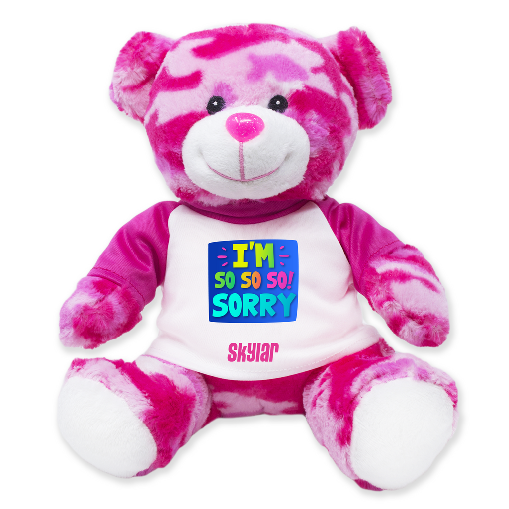 sorry for teddy bear