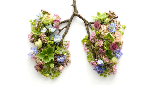 flowers and branches in the shape of lungs