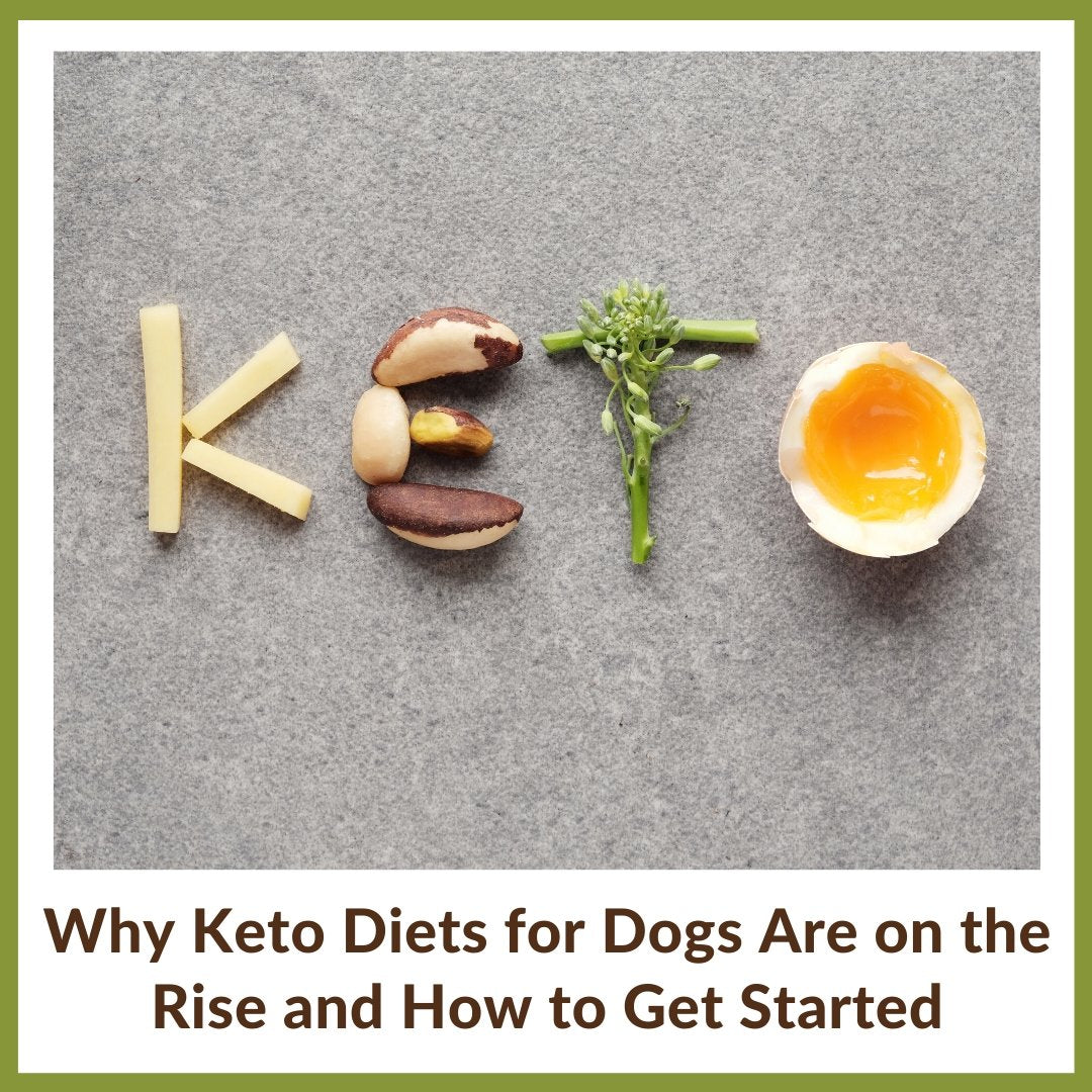 what is a ketogenic diet for dogs