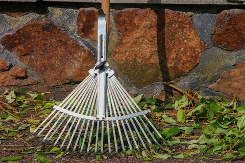 Autumn lawn care - scarifying with a rake