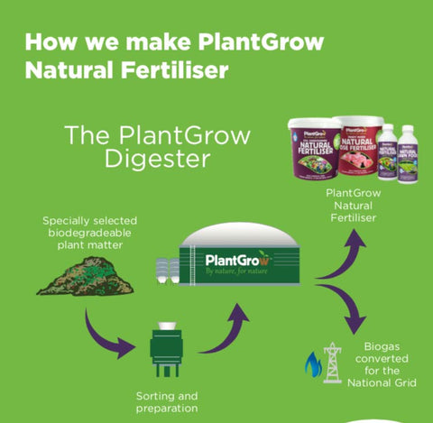 The PlantGrow Process