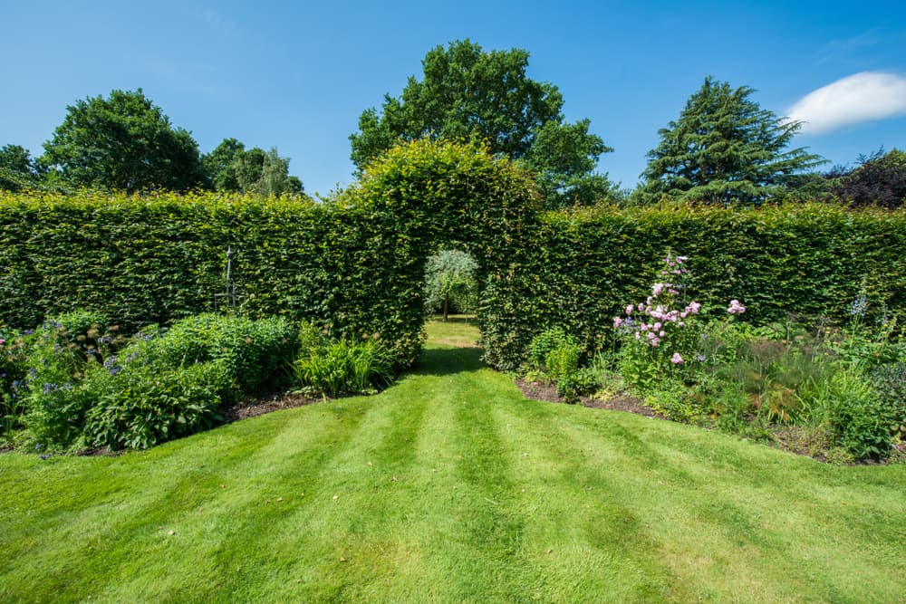 7 Beautiful Garden Hedge Design Ideas CedarSmith