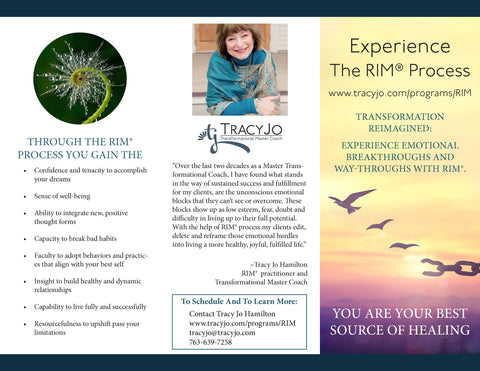 Tracy jo Brochure