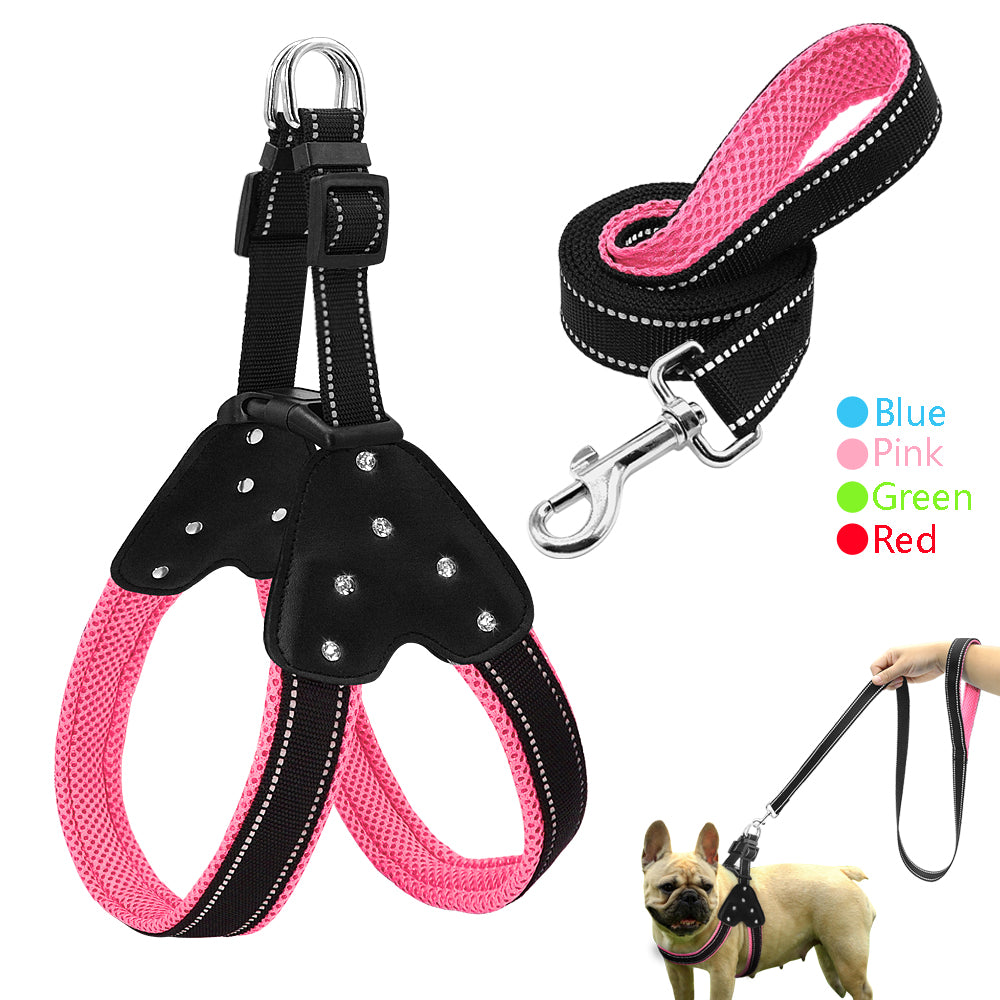 puppy harness