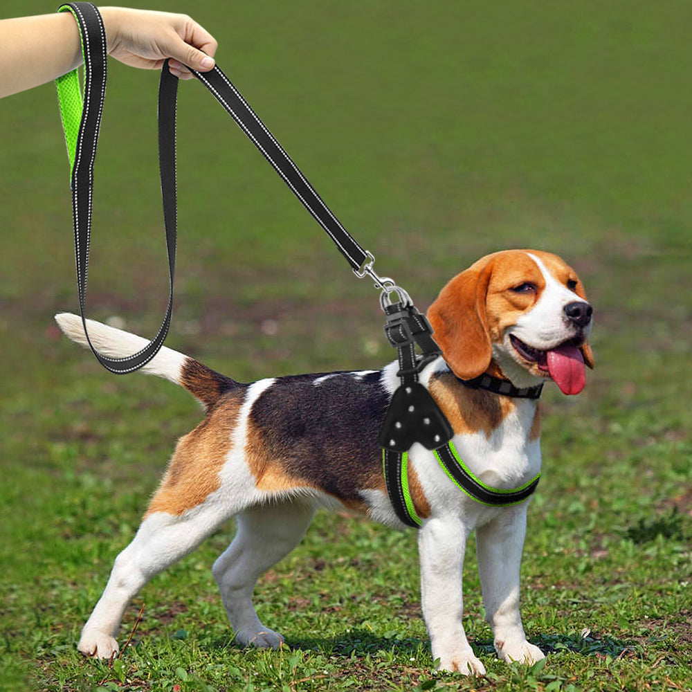 small dog harness and leash