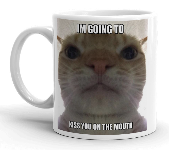 Meme On A Mug Meme Gear