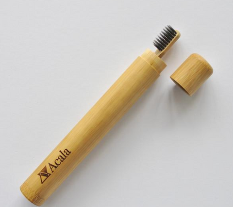 bamboo toothbrush and travel case