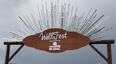 wellfest ireland entrance sign 2018
