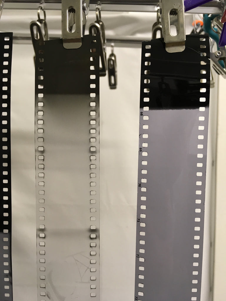 Silberra versus FOMA 35mm film drying