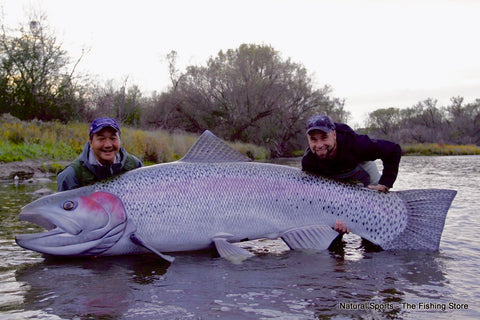 Natural Sports Rainbow