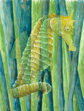Seahorse Watercolor