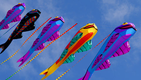 Chinese kites
