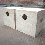 elm wood trunks