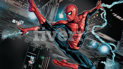 The Amazing SpiderMan Comic Books
