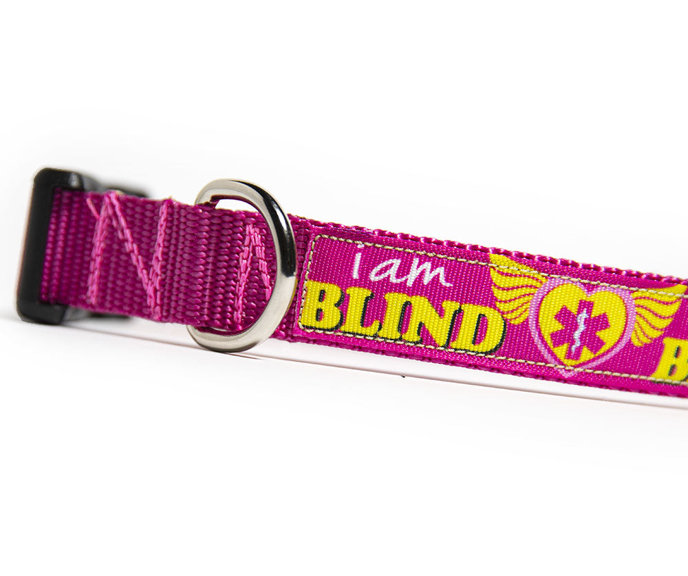 I Am Blind Dog Collar Medical Deaf Alert Collar Aw Paws
