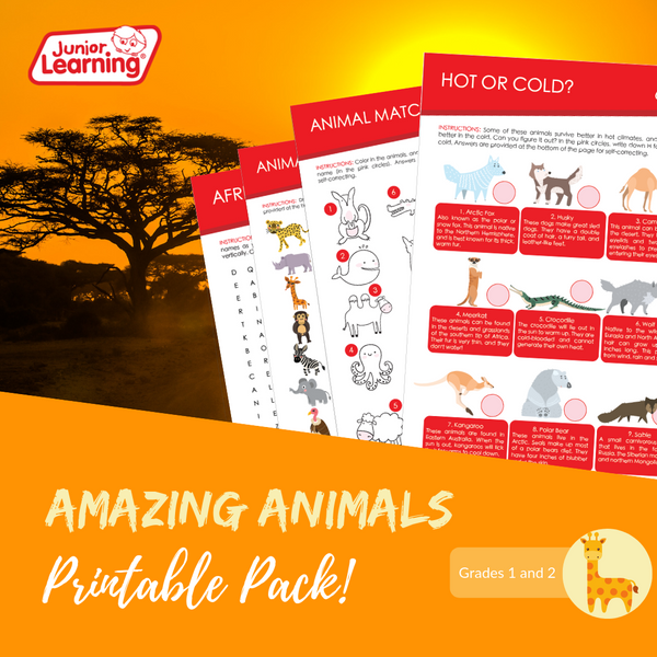 Amazing Animals Promo