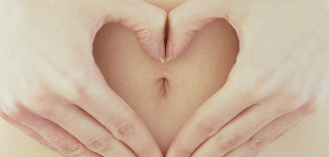 L’anatomie féminine