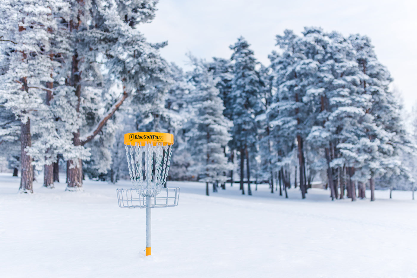 Snowy disc golf course