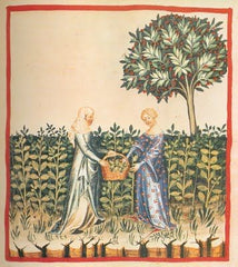 medieval ladies gathering mint
