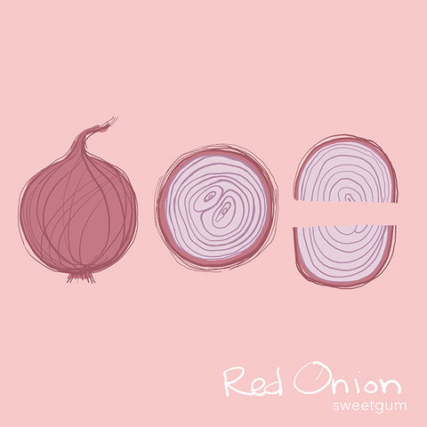 illustration of red onion