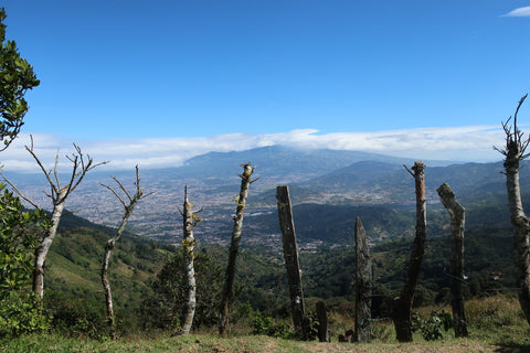 Tarrazu, Costa Rica