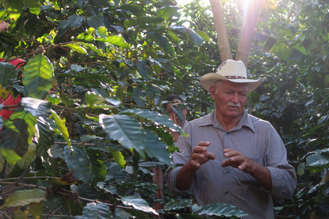 COMSA member, Fabio Claros, at his farm Finca la Casita.