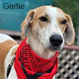 Gertie