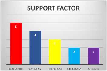 Support Factor Graph