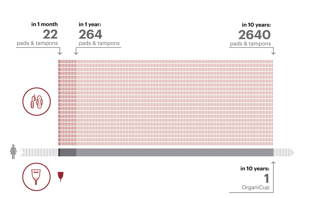 Zero Waste Periods NZ