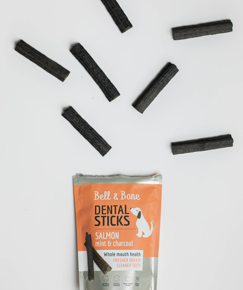 Is charcoal good for dogs teeth