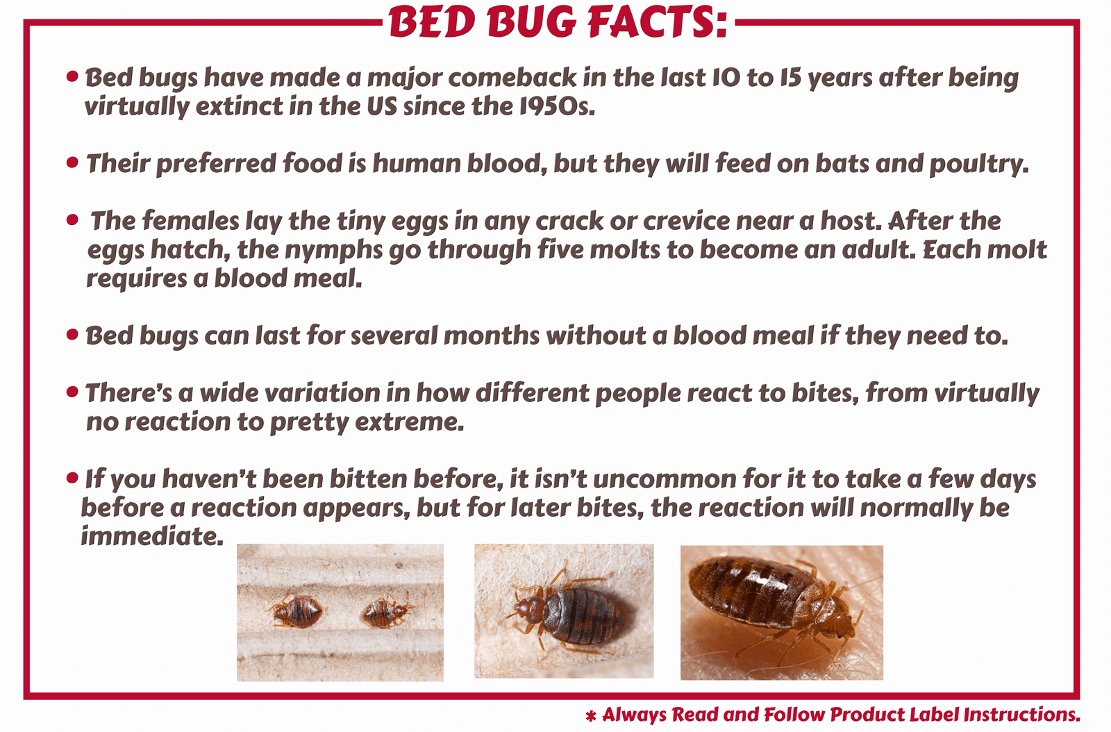 Bed Bug Facts & Products