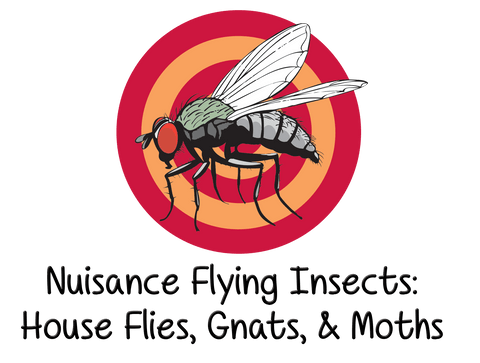 Nuisance Flying Insects: House Flies, Gnats, & Moths