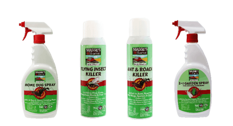 Best Indoor Pest Sprays