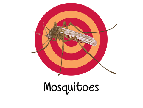 Mosquitoes