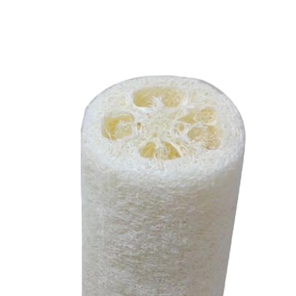 Intentionally Sustainable Ltd Natural Loofah Body and Bath Sponge