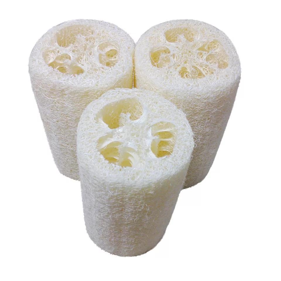 Intentionally Sustainable Ltd Natural Loofah Body and Bath Sponge