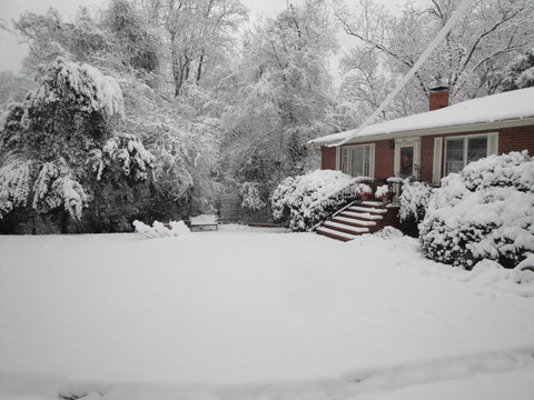 Family Residence on Cottage Lane, Chapel Hill NC