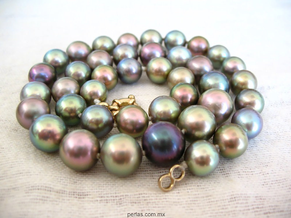 The Bocachibampo Sea of Cortez Pearl Necklace 