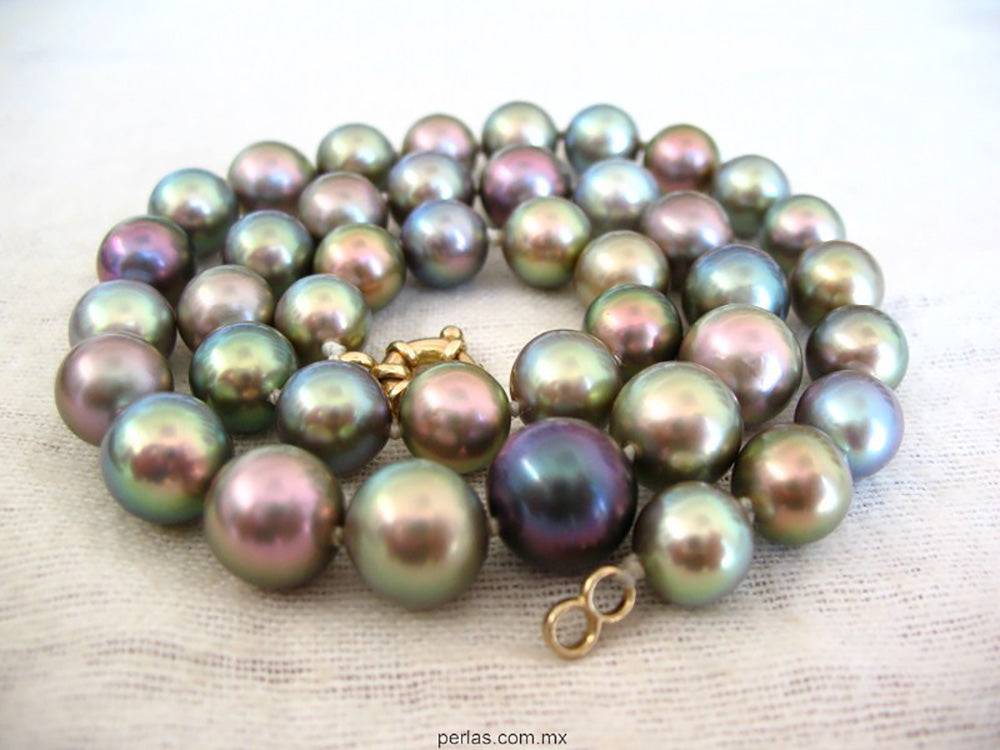 Sea of Cortez Pearls - The Rarest Cultured Pearls in the World