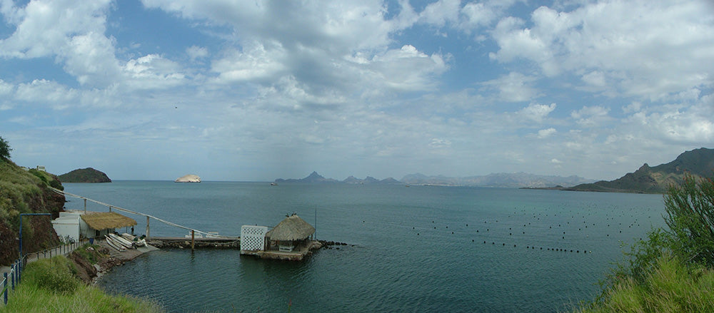 The Sea of Cortez Pearl Farm in Bacochibampo Bay. It can be lonely being the only operating pearl farm in the Gulf of California. The view is incredible though!