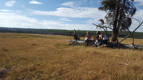 Learning in Yellowstone