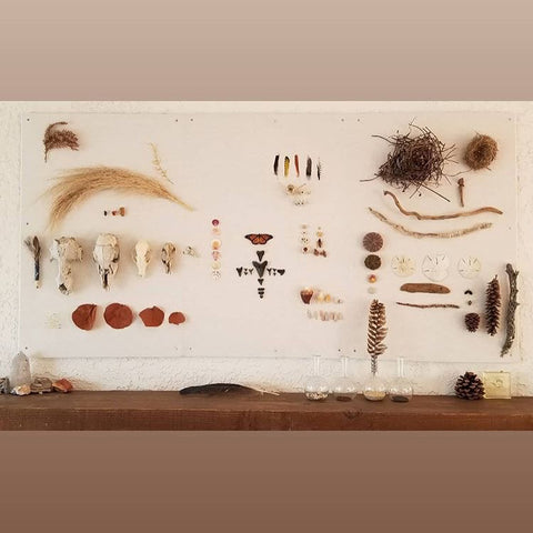 Wall of natural objects: bones, feathers, pine cones, sharks teeth.