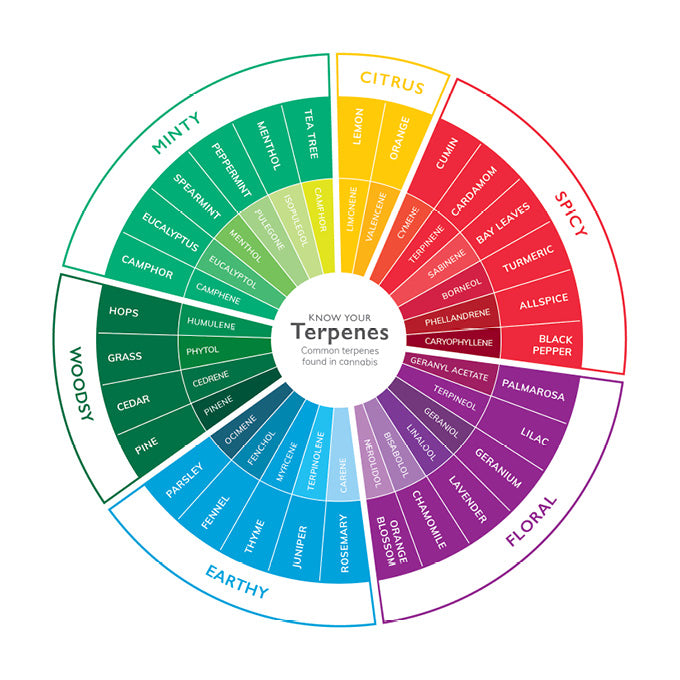 Cannabis terpene wheel