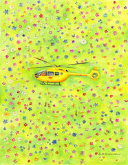 Yorkshire Air Ambulance helicopter landing in a field of flowers notelet