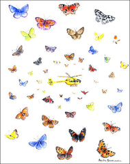 Yorkshire Butterflies and Yorkshire Air Ambulance Helicopter notelet