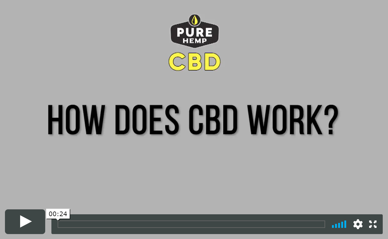 How Does CBD Work?