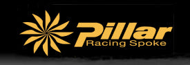Pillar spokes logo.