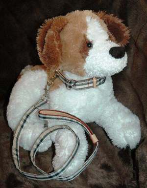 gucci dog collar and leash set sale