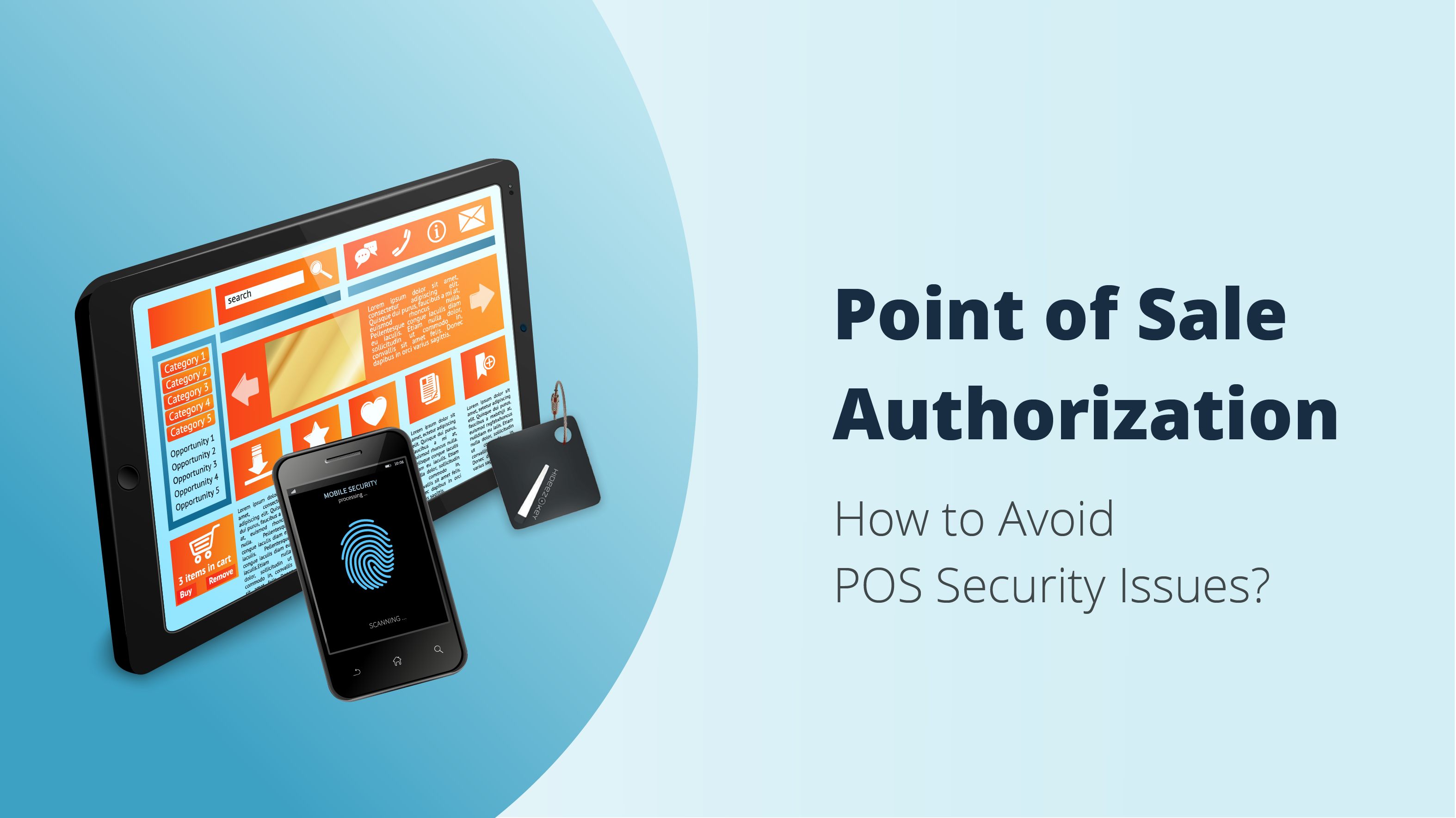 POS Authorization