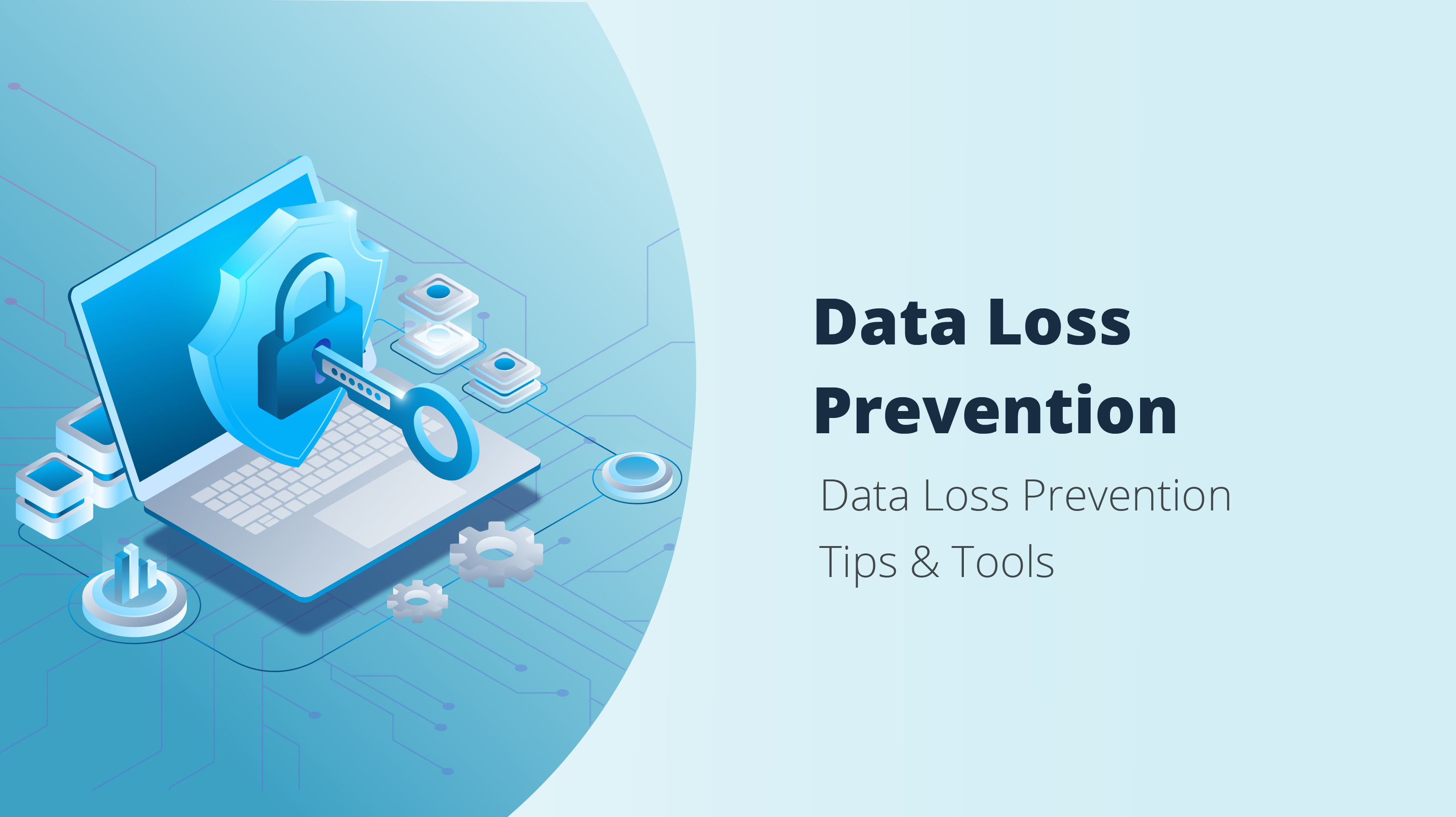 Data Loss Prevention for Enterprises